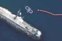 Chuyên gia Mỹ: Nga triển khai cá heo huấn luyện tại Biển Đen để bảo vệ hạm đội