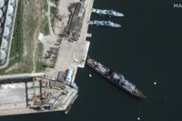 Chuyên gia Mỹ: Nga triển khai cá heo huấn luyện tại Biển Đen để bảo vệ hạm đội