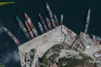 Chuyên gia Mỹ: Nga triển khai cá heo huấn luyện tại Biển Đen để bảo vệ hạm đội