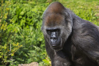 Những sự kiện kỳ bí không thể giải thích trong lịch sử