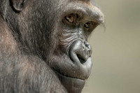 Những sự kiện kỳ bí không thể giải thích trong lịch sử