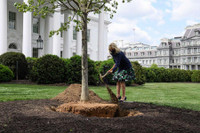 Hậu trường ít được biết trong Nhà Trắng thời Tổng thống Joe Biden