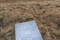 Kỳ bí những bức tranh khắc trên đá ở sa mạc Qatar