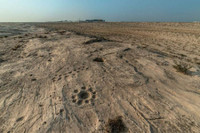 Kỳ bí những bức tranh khắc trên đá ở sa mạc Qatar