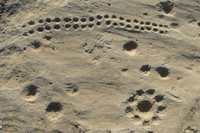 Kỳ bí những bức tranh khắc trên đá ở sa mạc Qatar