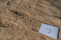 Kỳ bí những bức tranh khắc trên đá ở sa mạc Qatar