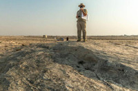 Kỳ bí những bức tranh khắc trên đá ở sa mạc Qatar