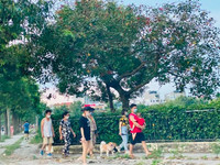 Hà Nội đóng cửa công viên, người dân tấp nập ra vỉa hè, lòng đường tập thể dục