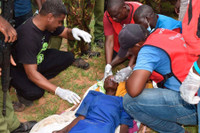 Phát hiện ít nhất 73 thi thể tín đồ giáo phái “nhịn ăn” ở Kenya