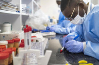 Giải mã bí ẩn về dịch Covid-19 suy yếu bất thường ở Nhật Bản và châu Phi