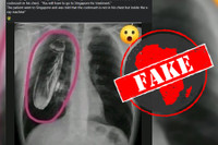 Những tin giả sai lệch và kỳ quái nhất trong năm 2023