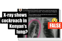 Những tin giả sai lệch và kỳ quái nhất trong năm 2023