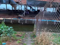 Toàn cảnh “nghĩa địa” du thuyền ở hồ Tây, Hà Nội