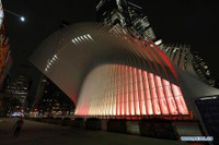 [Ảnh] Không khí chào năm mới Tân Sửu trên toàn thế giới