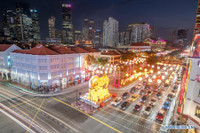 [Ảnh] Không khí chào năm mới Tân Sửu trên toàn thế giới