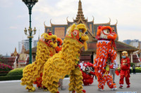 [Ảnh] Không khí chào năm mới Tân Sửu trên toàn thế giới