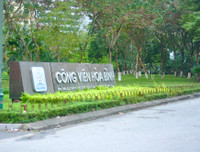 Hoa anh đào Nhật Bản bung nở rực rỡ trong công viên ở Hà Nội