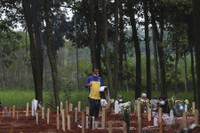 [Ảnh] Indonesia: Tình nguyện viên phải giúp phu đào mộ vì làm việc ‘không xuể’