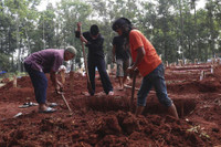 [Ảnh] Indonesia: Tình nguyện viên phải giúp phu đào mộ vì làm việc ‘không xuể’
