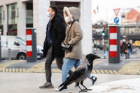 [Ảnh] Các nhà lãnh đạo thế giới nói gì nhân dịp năm mới 2021?