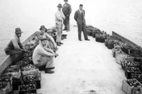 Tại sao Thụy Sĩ treo thưởng để thu hồi lượng lớn đạn đã đổ xuống các hồ nước?