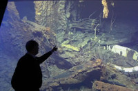 Nhiệm vụ bí mật của hải quân Mỹ giúp phát lộ xác tàu Titanic 38 năm trước