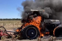 [Ảnh] Không chỉ Covid-19, Australia còn đau đầu với đại dịch chuột sinh sôi