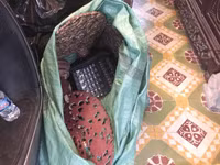 Hàng trăm cổ vật trộm cắp được ngụy trang trong căn nhà buôn gỗ cũ