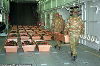 [Ảnh] Dấy lên nghi vấn về vai trò thực sự trong thảm kịch chìm tàu ở biển Baltic