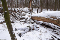 Hàng nghìn thanh niên Ukraine gia nhập lực lượng dự bị và ráo riết luyện tập