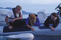 Cá voi, chuột, mèo hay chim bồ câu - loài vật nào làm gián điệp giỏi nhất?