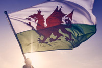 Biểu tượng rồng trong một số nền văn hóa trên thế giới