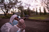 [Ảnh] Đội “thợ săn virus” trên dơi ở Philippines