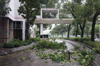 Hồng Kông: Gió giật tới 234km/h, hàng chục người bị thương trong bão Wipha