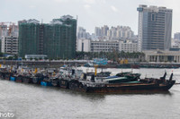 Hồng Kông: Gió giật tới 234km/h, hàng chục người bị thương trong bão Wipha