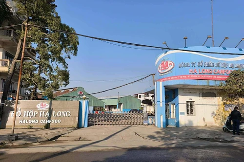 Hải Phòng báo cáo gì về kiểm tra, giám sát vệ sinh thú y đối với Công ty đồ hộp Hạ Long?