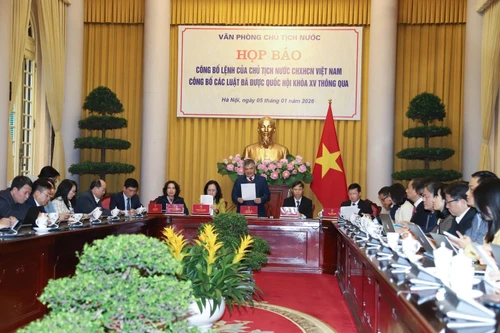 Mới: Từ năm 2026, Công an cấp tỉnh được giám định pháp y thương tích 