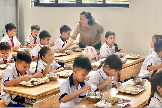 Không được lựa chọn đơn vị cung cấp thực phẩm bếp ăn trường học chỉ dựa trên tiêu chí giá thấp