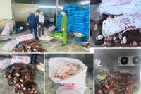 Phát hiện 6 tấn chân, xương trâu bò có dấu hiệu hư hỏng