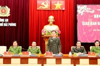 Hải Phòng: Phạm pháp hình sự dịp Tết Nguyên đán Bính Ngọ giảm 22,2%