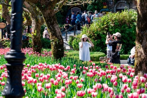 Bật mí bí kíp sở hữu chuyến du ngoạn Đà Nẵng trọn gói sang chảnh với giá 'siêu hời'