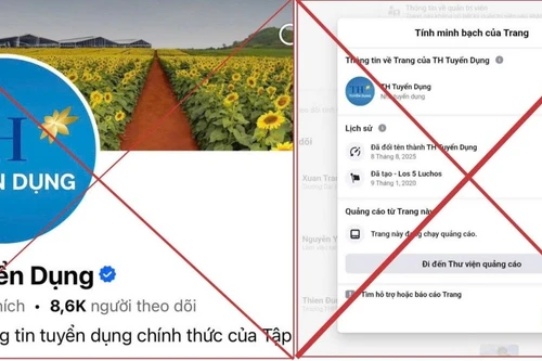 Xuất hiện nhiều kênh giả mạo tuyển dụng Tập đoàn TH trên mạng xã hội