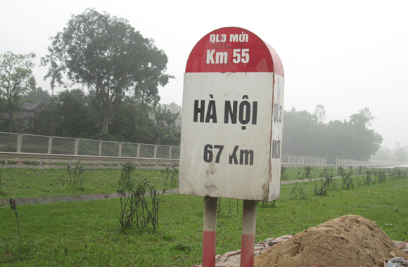 Trâu vượt quốc lộ: Nguy cơ tai nạn giao thông rình rập! ảnh 7