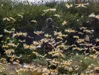 Không thể xem thường: 1/10 dân số thế giới có thể 