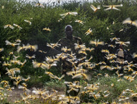 Không thể xem thường: 1/10 dân số thế giới có thể 