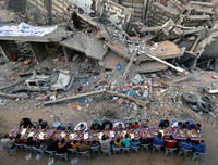 Những bức ảnh Instagram đẹp nhất năm 2019 trên Hãng thông tấn Reuters