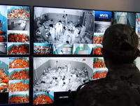 Lực lượng người Kurd 