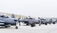 d-11.jpg