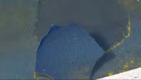 screenshot-2026-08-03-082612.png