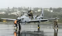 d-10.jpg
